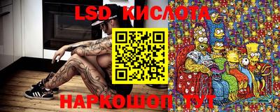 мдпв Гусев