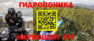 мдпв Гусев
