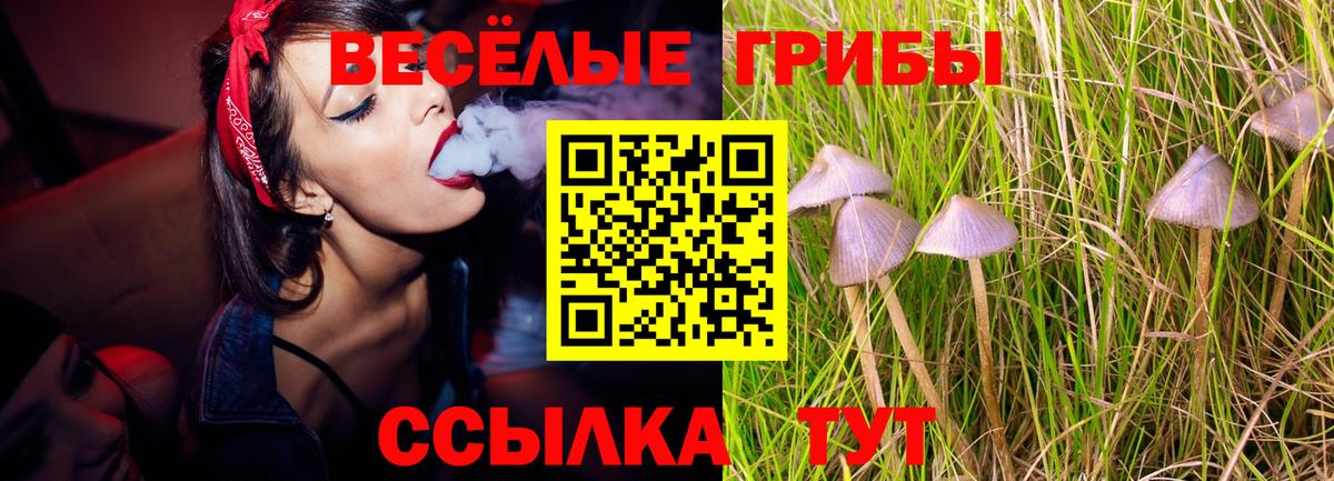 Псилоцибиновые грибы MAGIC MUSHROOMS  Вход с VPN  Нарткала 